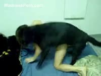 Cute teenage is cheating on her boyfriend by fucking with his dark dog